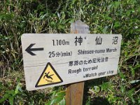 ニセコ神仙沼湿地 (18)